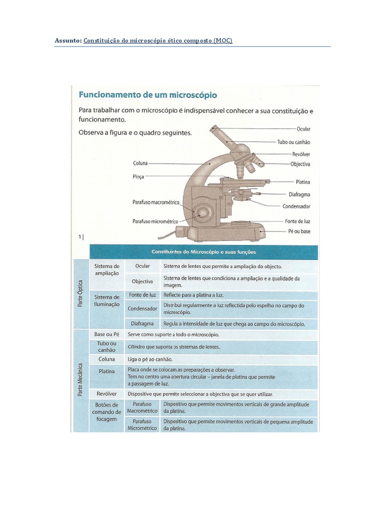 B) Constituição Microscópio | PDF
