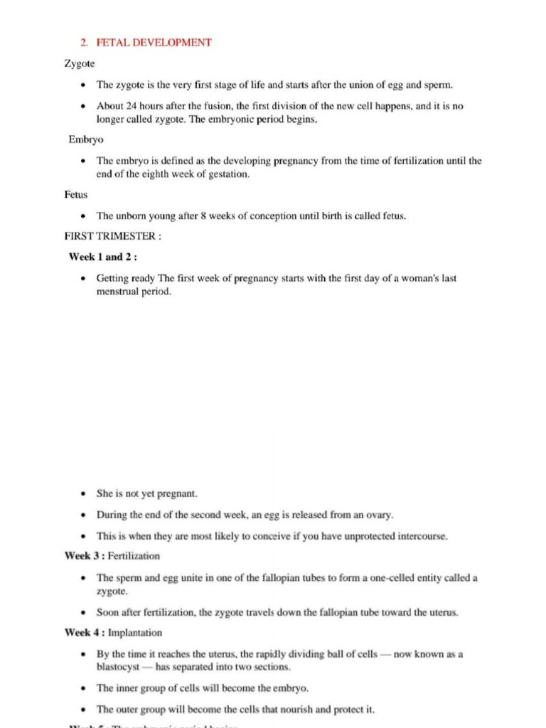 Fetal Development Overview Biology Diagrams