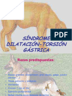 Síndrome Dilatación-Torsión Gástrica