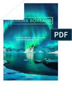 AURORA BOREALIS PENJELASAN