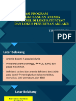 Evaluasi Program Penanggulangan Anemia Rakornis