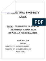 IP Rights Exhaustion & Domain Disputes