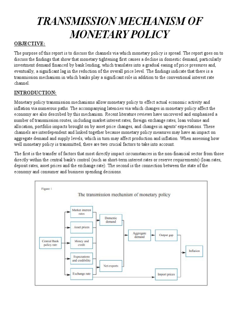 Transmission Mechanism of Policy PDF Policy