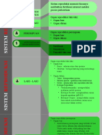 Sistem Reproduksi Manusia