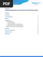 BIO (Study Guide)