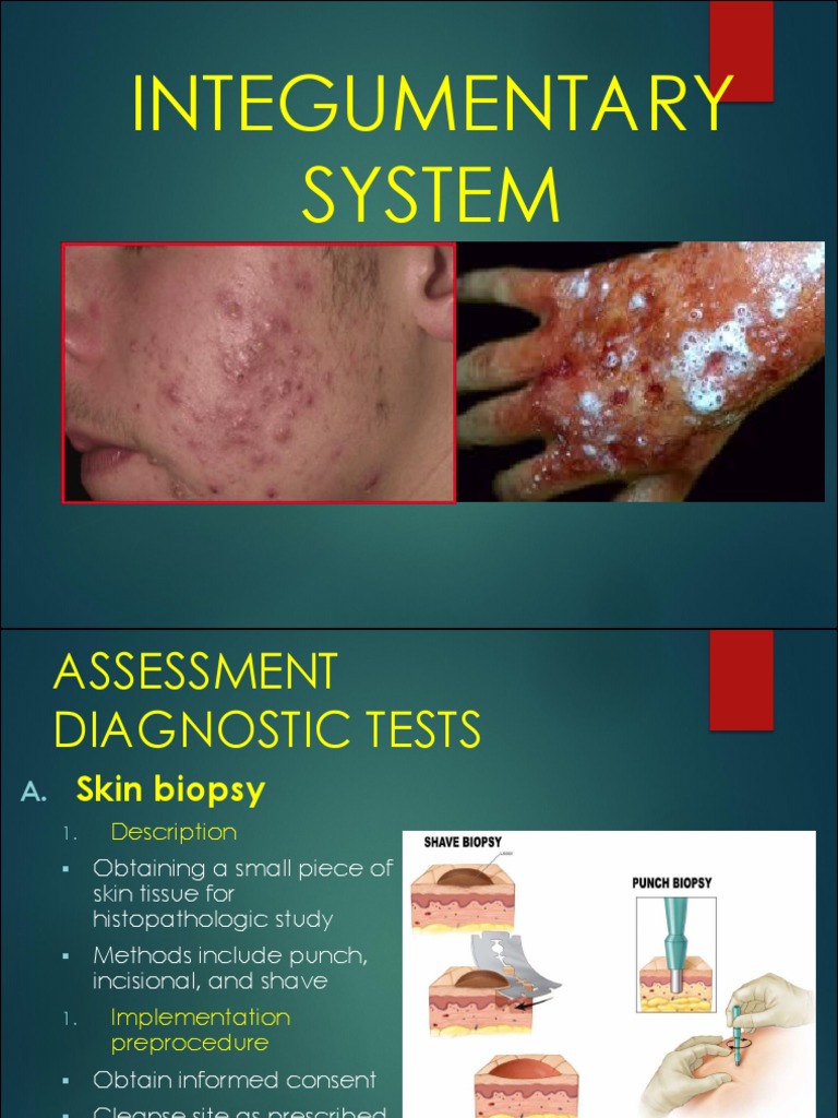 Nov 19 INTEGUMENTARYINFLAMMATORYDISORDERSforpresentation2022 PDF