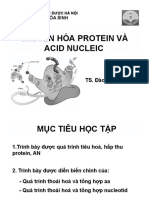 CH Protein An 2021 Onlineversion Handout