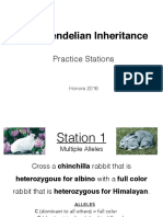 Non-Mendelian Inheritance Practice Stations 2018