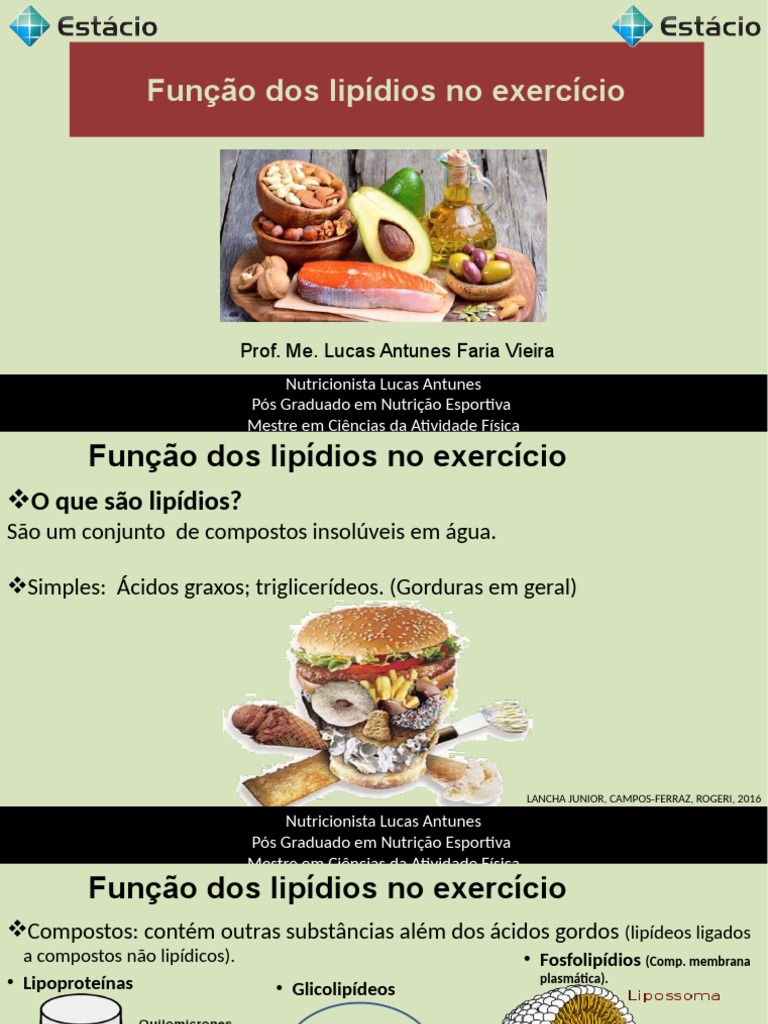 Aula 6 - Função Dos Lipídios No Exercício | PDF | Nutrição esportiva ...