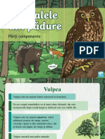 Animalele Din Padure - Parti Componente - Prezentare PowerPoint