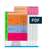 Matriz Leopold Eia Ana