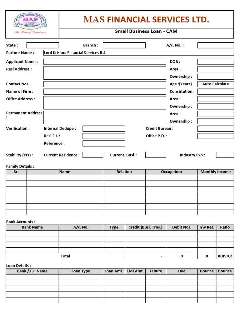 3 Cam PDF Banks Loans