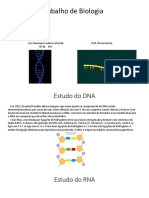 DNA, RNA e códons