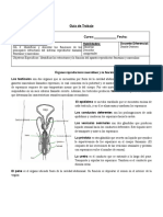 Guia 2 Sexto Segundo Semestre Ciencias