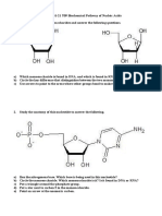 SEHH2231-22 T09 Biochemical Pathway of Nucleic Acid Exercise (Question)