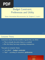 Budget Constraint Preferences and Utility