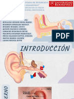 Anatomia Del Oído