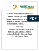 Características de Los Grupos de Trabajo, Tipos de Comunicación y Roles.