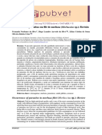 Ocorrência de Parasitas em Filé de Merluza (Merluccius SP.) Revisão