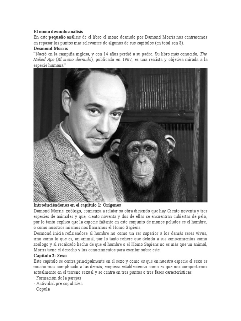 El (deity) visual data 5