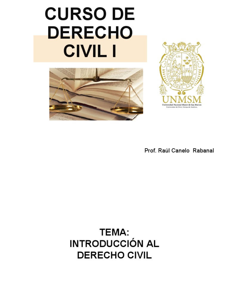 Curso de Derecho Civil I: Prof. Raúl Canelo Rabanal | PDF | Ley ...