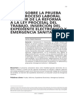 Acceso justicia prueba reforma expediente electrónico emergencia