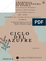 Ciclo Del Azufre - Equipo3