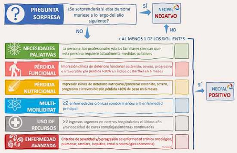 Geriatricarea Necpal 4 0 Necesidades Paliativas Pdf