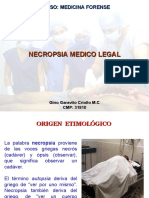 33 Necropsia Médico Legal