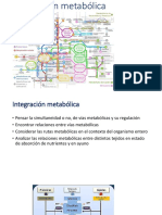 Clase 17 PDF Integración Metab Ayuno y Abundancia 2020