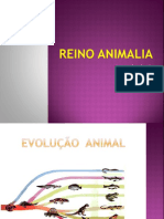 Reino Animalia - Invertebrados II