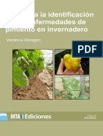 Inta-guia Identificacion de Las Enfermedades de Pimiento en Invernadero 0