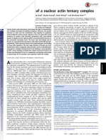 Crystal Structure of A Nuclear Actin Ternary Complex