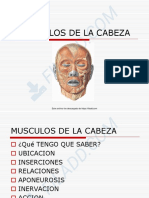 Clase de Musculos de La Cara