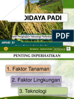 Budidaya Padi - 2022