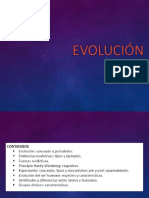 Evolución 2020-2