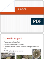 Aula - 3 - Fungos Introduo