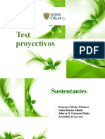 Exp Test Proyectivos