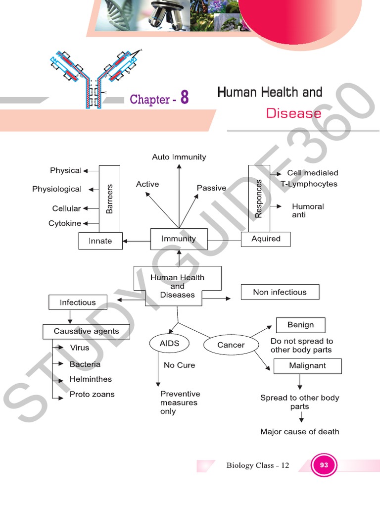 Class 12 Biology Notes Chapter 8 Studyguide360 Pdf