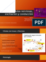 Clase 1 - Celulas Nerviosas, Excitación y Conducción