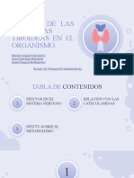 Copia de Endocrine System For Medical Students by Slidesgo