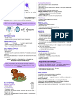 Giardíase - Protozoário causador de diarreia