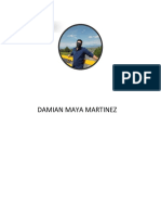 Damian Maya Martinez