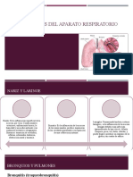 Enfermedades Del Aparato Respiratorio