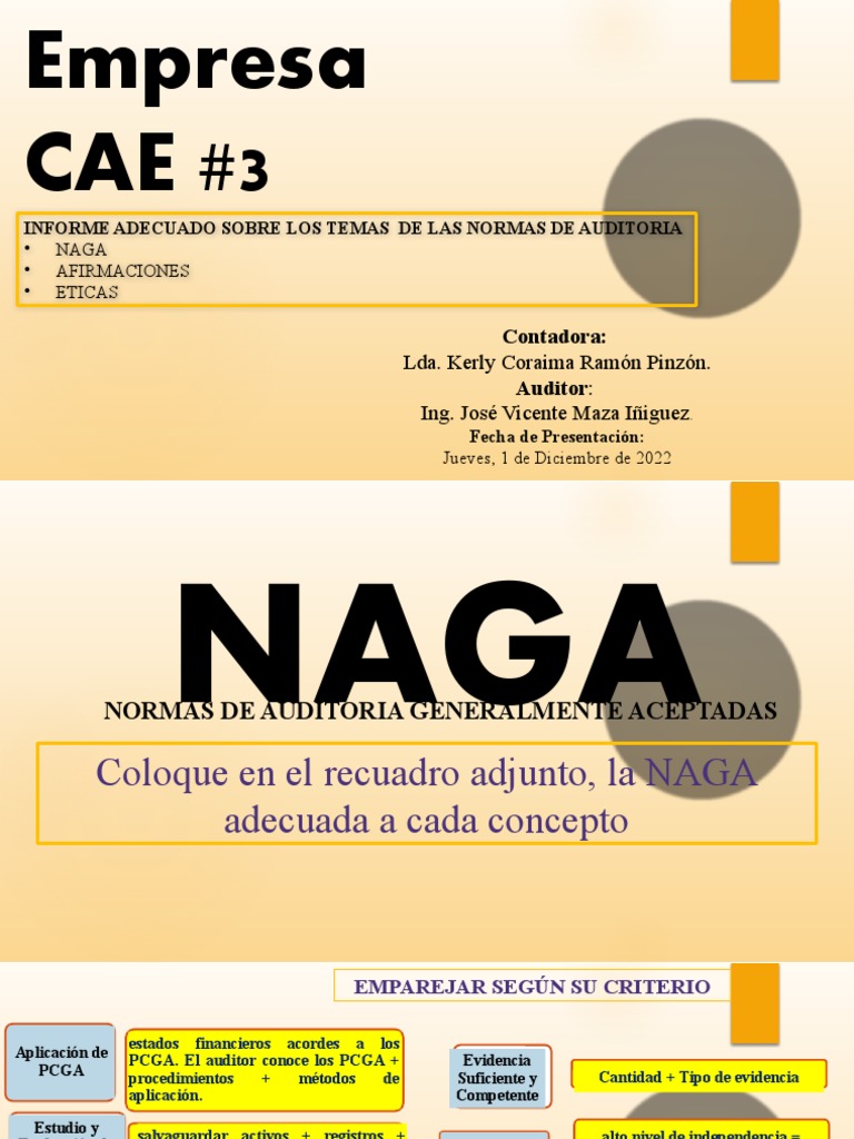 Cae 3 Naga y Otras Normas | PDF | Auditoría | Contralor