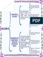 Organizador Gráfico INCLUSIÓN