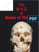 13609853 the a to Z of Bones of the Skull 2