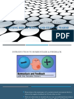 Homeostasis & Excretion Presentation - Student