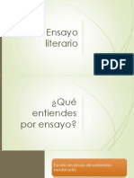 Ensayo Literario