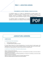 Tema 11. Judicatura Agraria